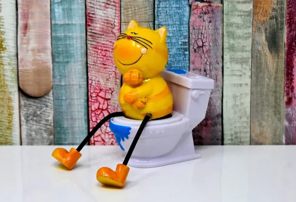 תה לשלשולים